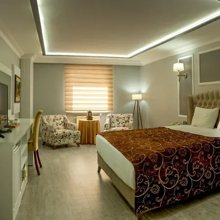 Hotel Demosan 4*