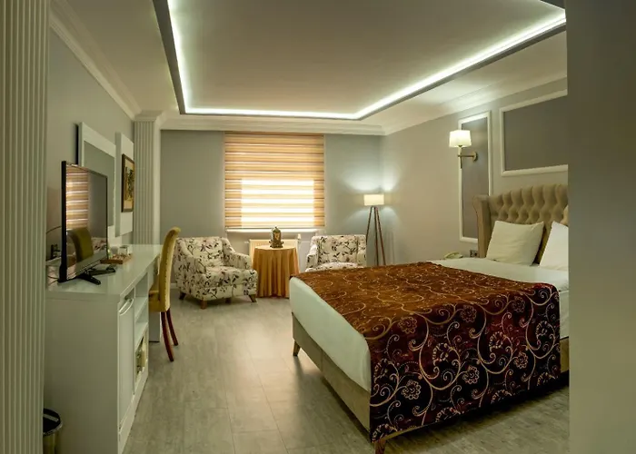 Hotel Demosan 4*